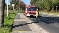 als_08.jpg