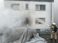 eiche_04.jpg
