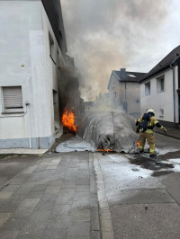 eiche_06.jpg