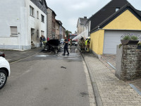 eiche_09.jpg