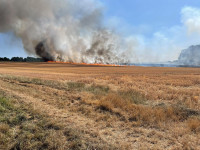 feld_01.jpg