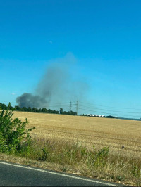feld_02.jpg