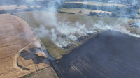 feld_06.jpg