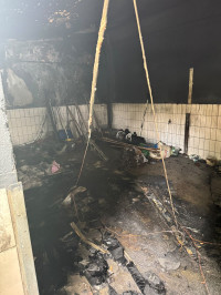 feuer_02.jpg