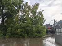 unwetter_02.jpg