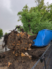 unwetter_07.jpg