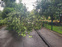 unwetter_09.jpg